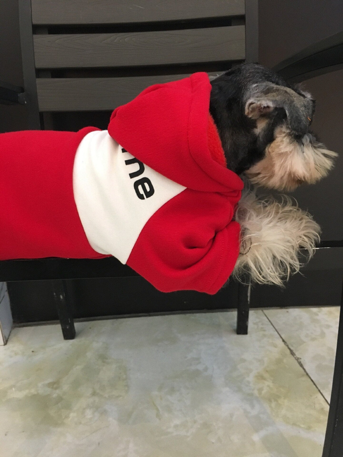 Small Dog Hoodie for Warm Autumn and Winter Walks, Cozy
