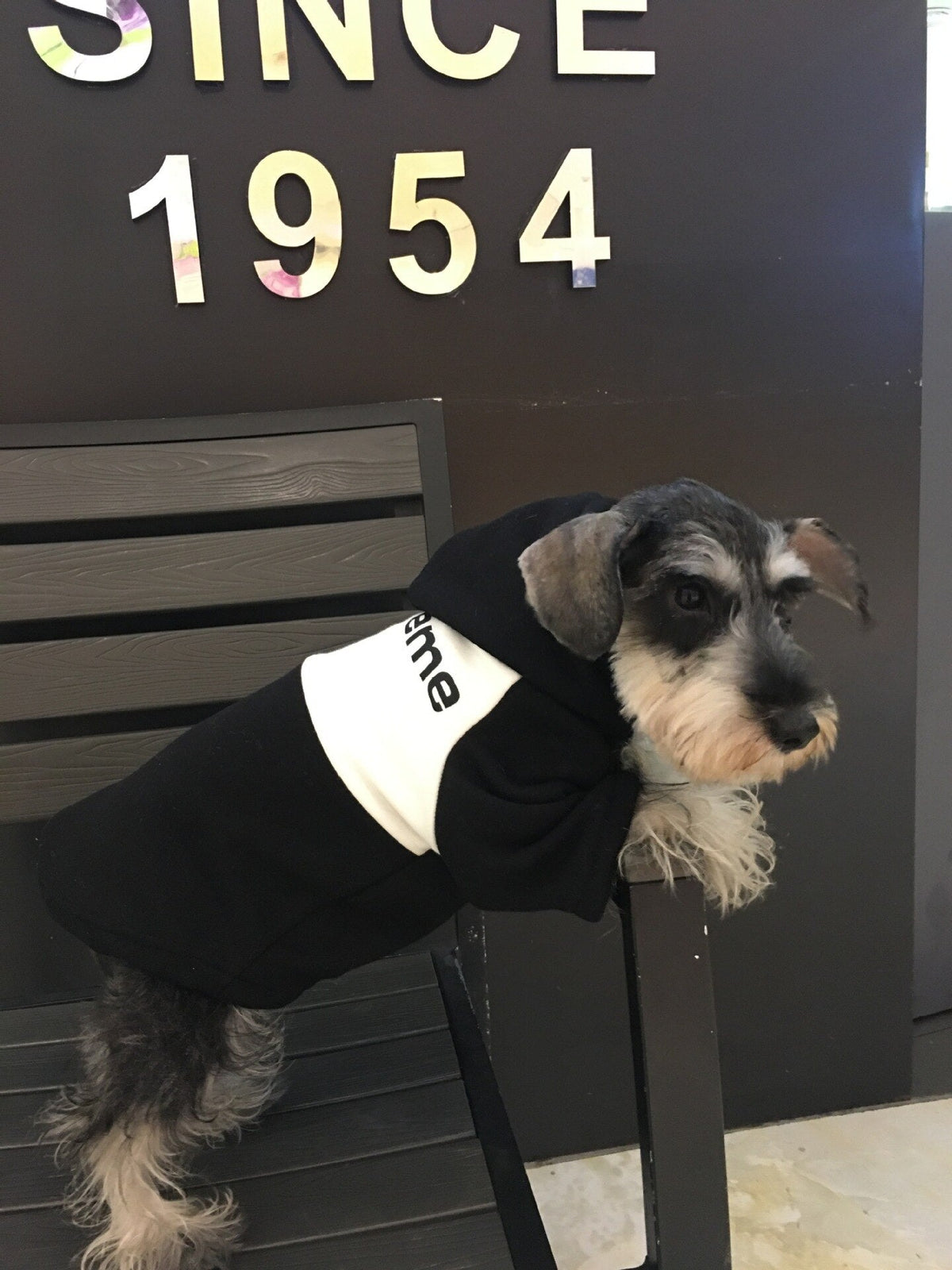 Small Dog Hoodie for Warm Autumn and Winter Walks, Cozy