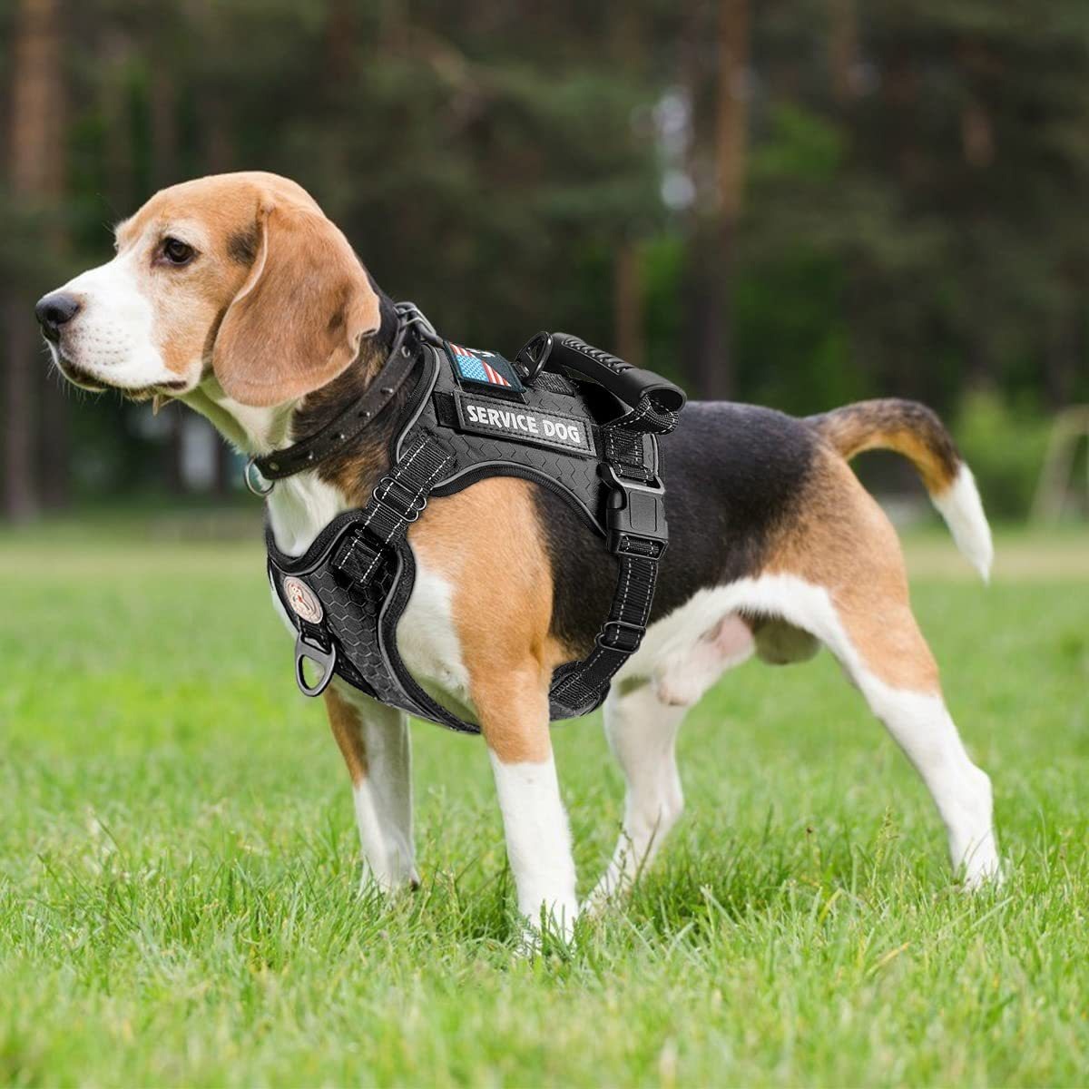 Dog Harness With Padded Comfort and Easy Control