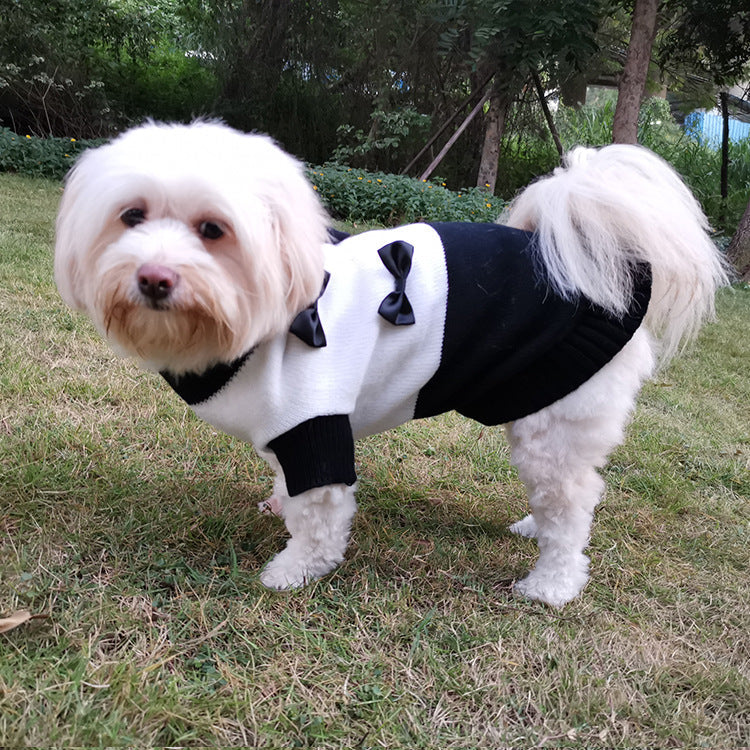 Small Dog Tuxedo Sweater for Cozy, Photo-Ready Style