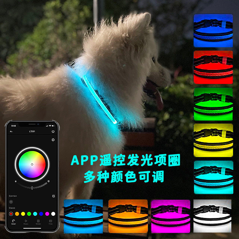 LED Pet Collar with App-Controlled Night Visibility