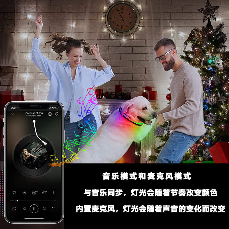 LED Pet Collar with App-Controlled Night Visibility