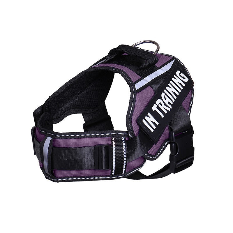 Reflective Dog Harness With Custom ID Patch for Walks
