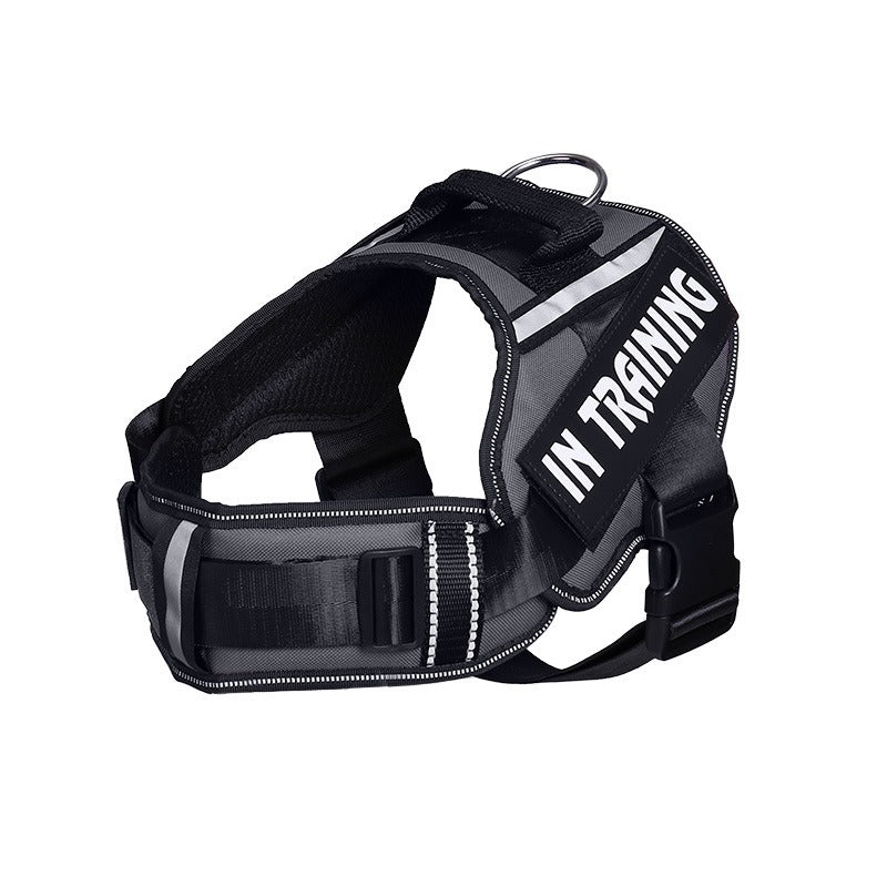 Reflective Dog Harness With Custom ID Patch for Walks