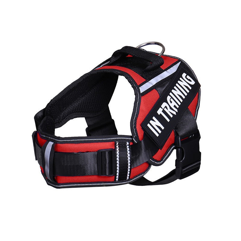 Reflective Dog Harness With Custom ID Patch for Walks