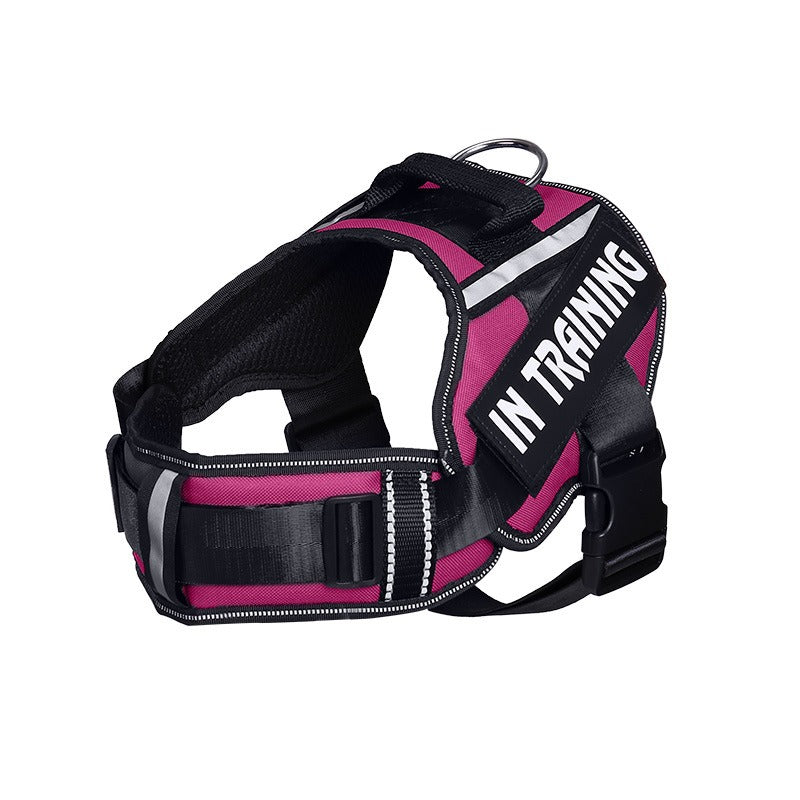 Reflective Dog Harness With Custom ID Patch for Walks