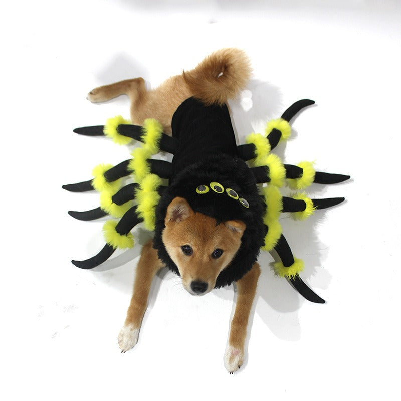 Pet Spider Costume for Funny Halloween Party Photos
