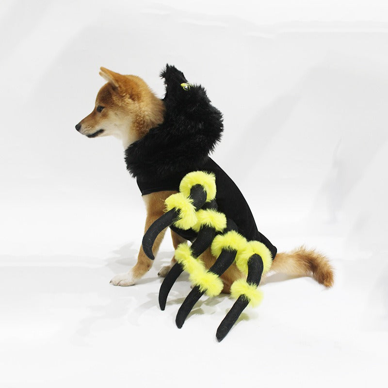 Pet Spider Costume for Funny Halloween Party Photos