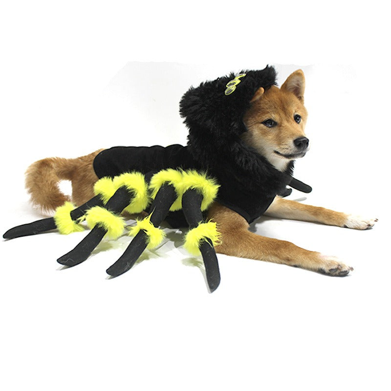 Pet Spider Costume for Funny Halloween Party Photos