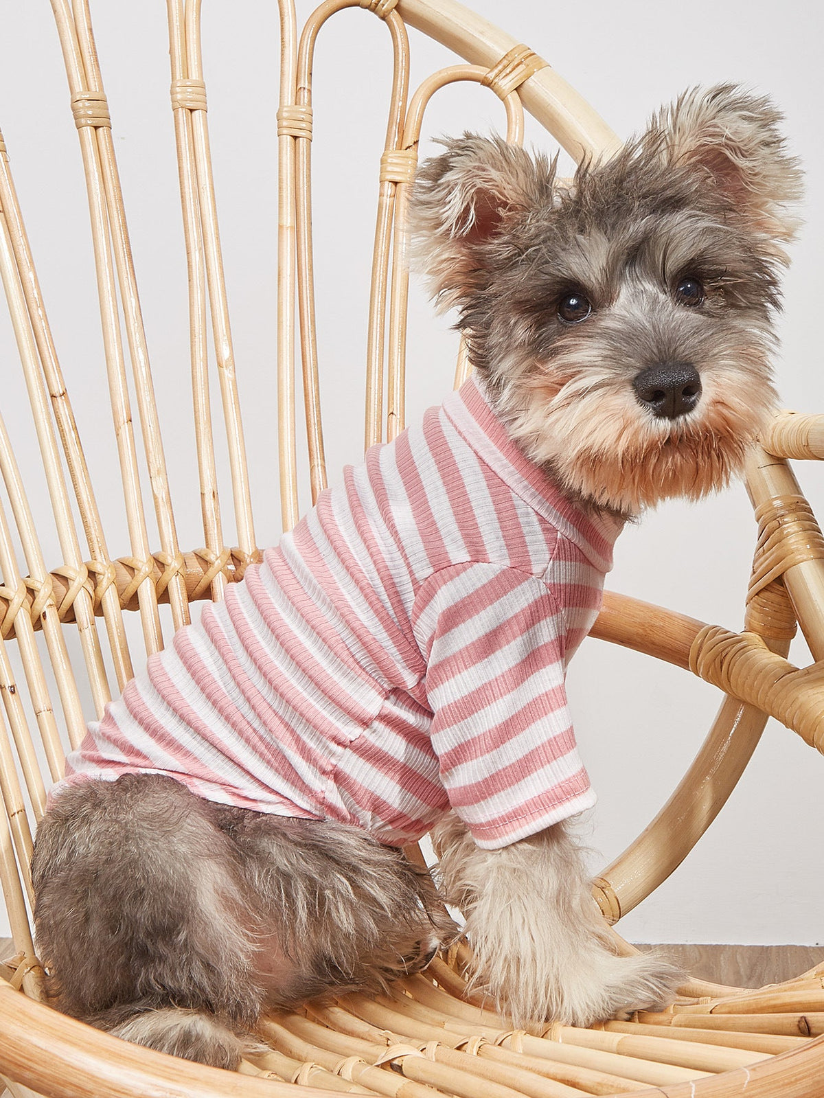 Small Dog Striped T-Shirt for Light Summer Comfort