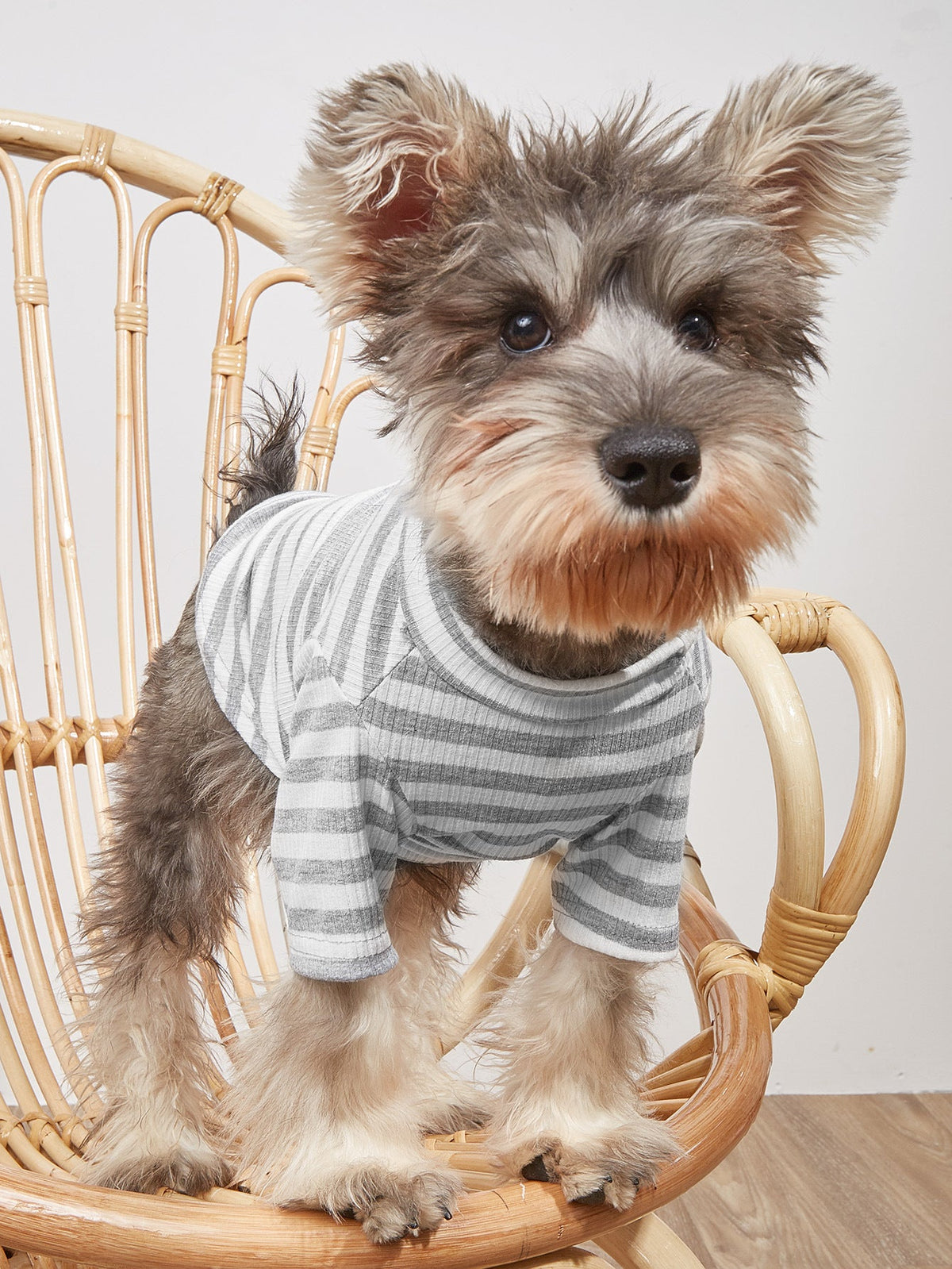 Small Dog Striped T-Shirt for Light Summer Comfort