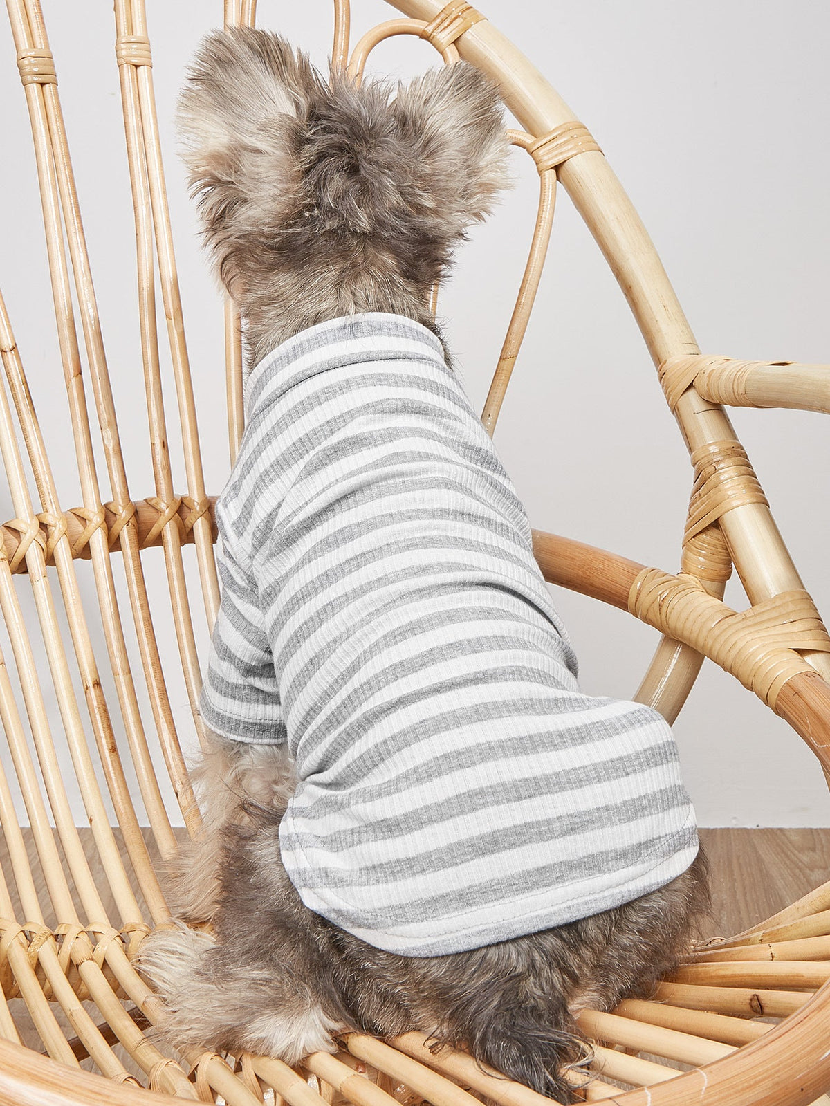 Small Dog Striped T-Shirt for Light Summer Comfort