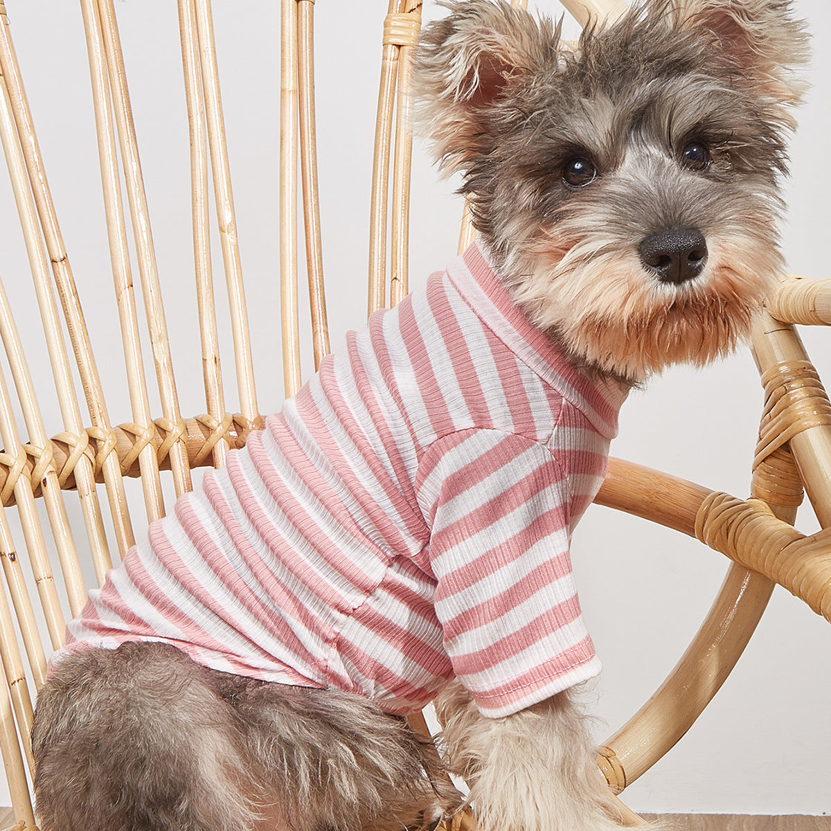 Small Dog Striped T-Shirt for Light Summer Comfort