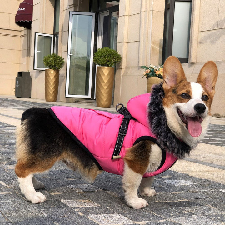 Reflective Winter Dog Coat With Warm Integrated Harness