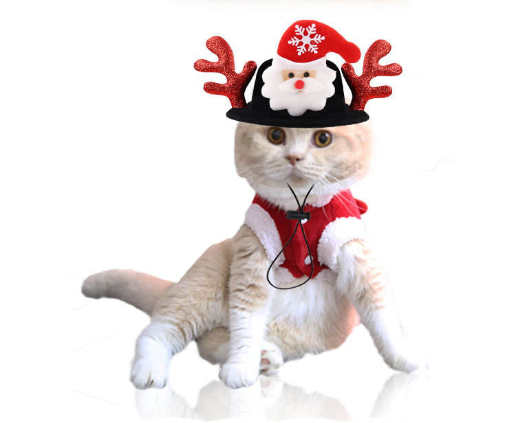 Dog Christmas Reindeer Hat for Holiday Pet Photos