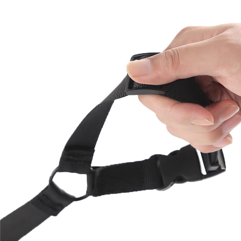 2-in-1 Dog Car Seat Belt for Safer Rear-Seat Travel