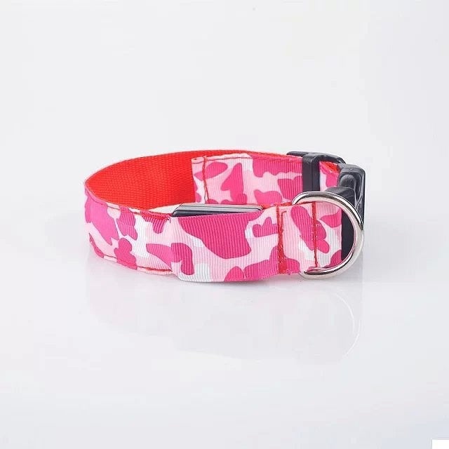 Rechargeable LED Pet Collar for Nighttime Visibility