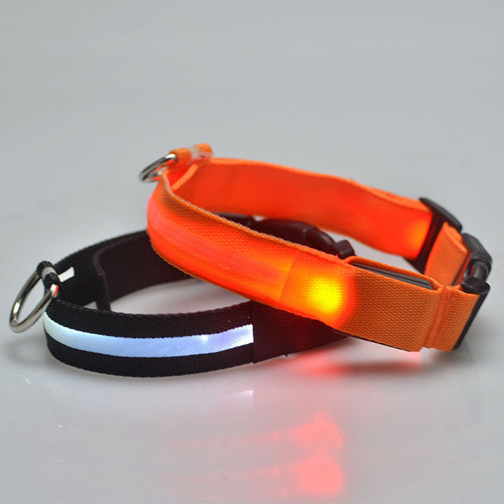 Rechargeable LED Pet Collar for Nighttime Visibility