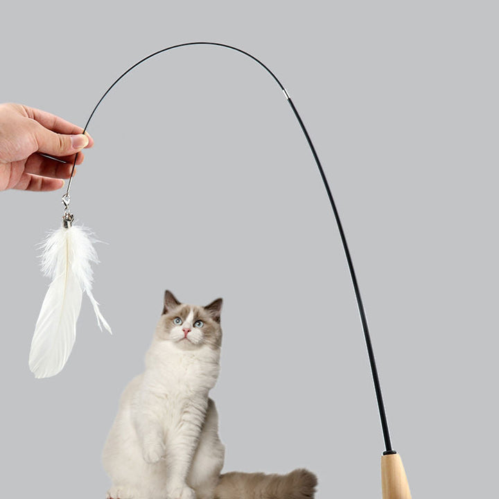 Interactive Cat Wand Toy for Indoor Exercise & Bonding