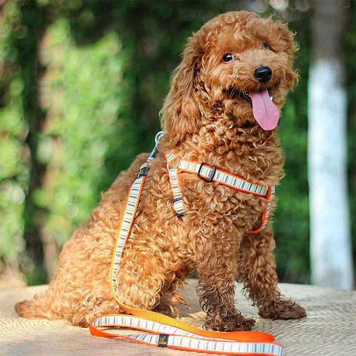 Striped Dog Harness and Leash Set for Controlled Walks