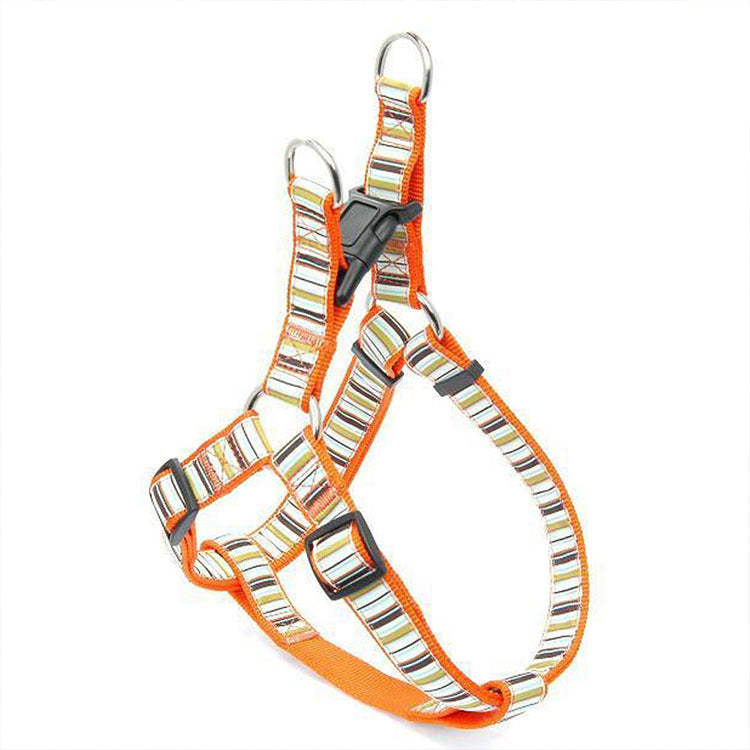 Striped Dog Harness and Leash Set for Controlled Walks