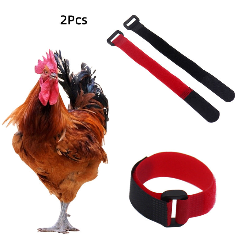 Poultry Crow Collar Set for Quieter Coops, 2 Pack