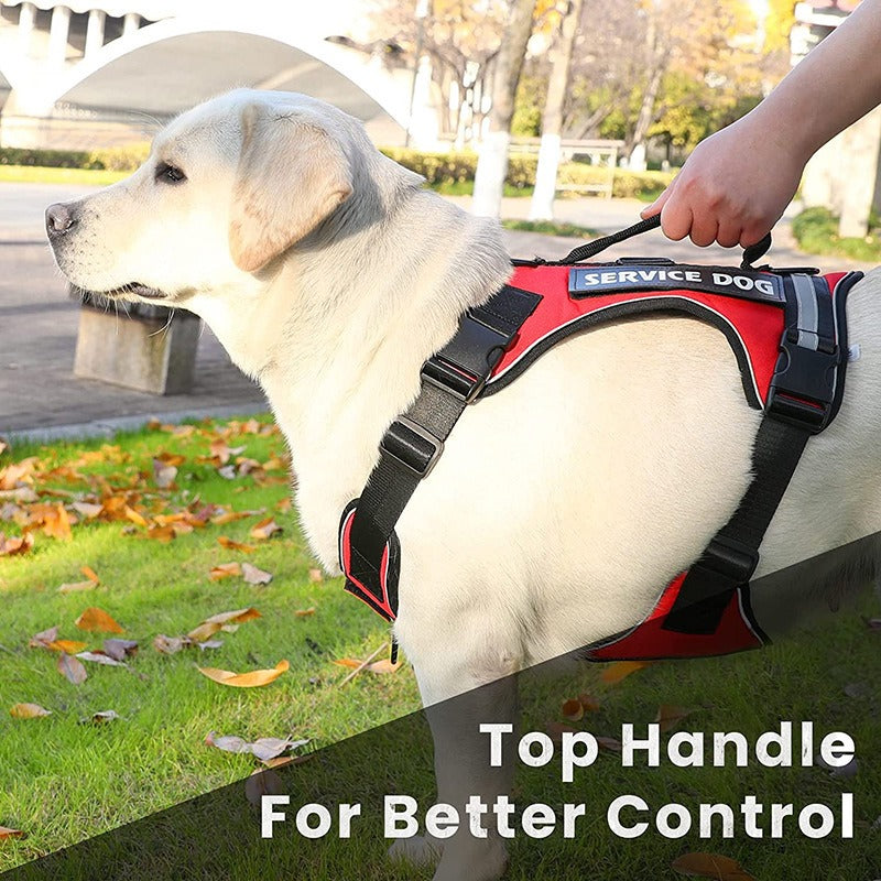 Reflective Service Dog Harness With Top Handle Control