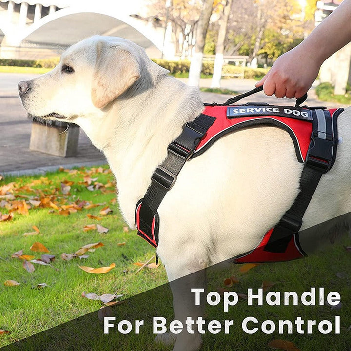 Reflective Service Dog Harness With Top Handle Control