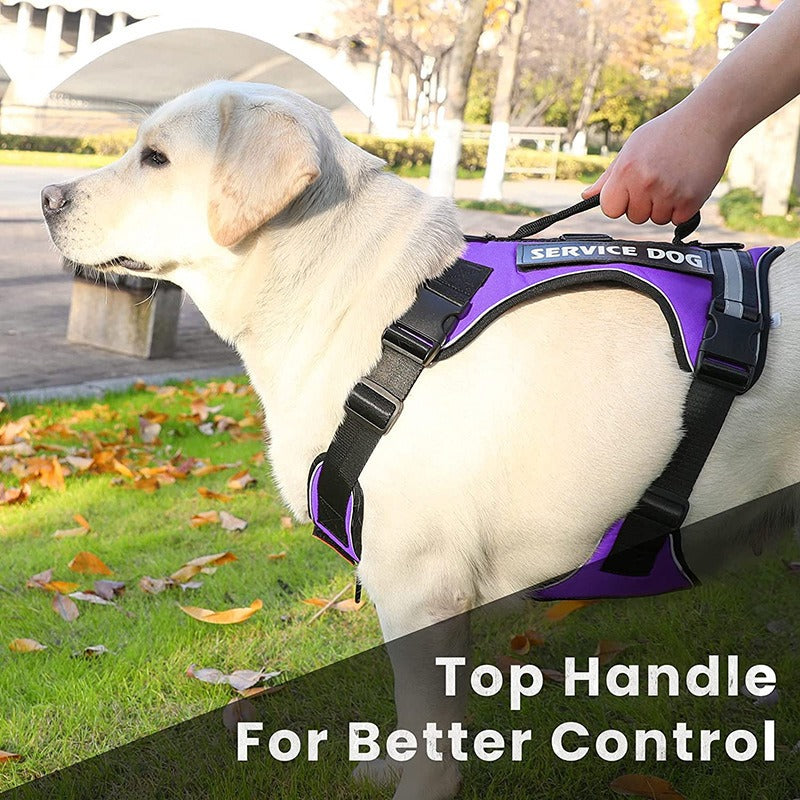 Reflective Service Dog Harness With Top Handle Control