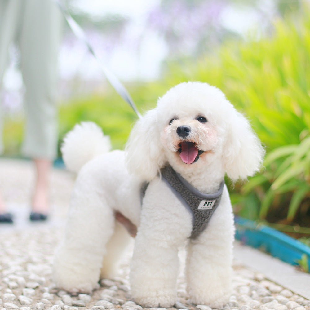 Small Dog Harness and Leash Set for Comfortable Walks