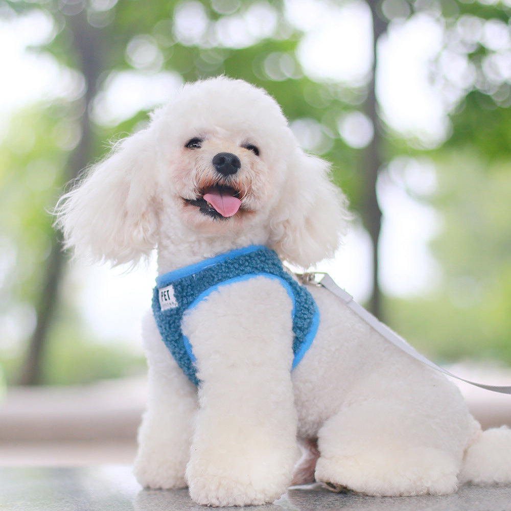 Small Dog Harness and Leash Set for Comfortable Walks