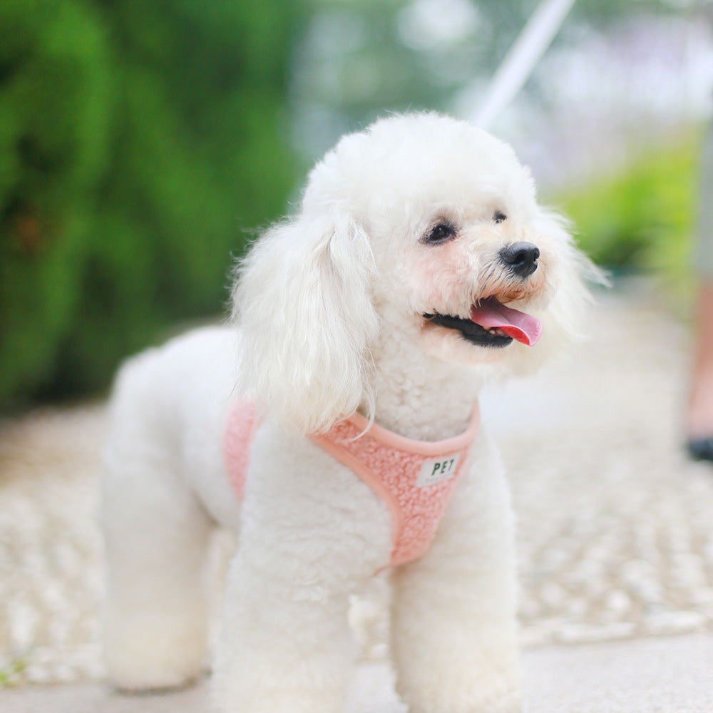Small Dog Harness and Leash Set for Comfortable Walks