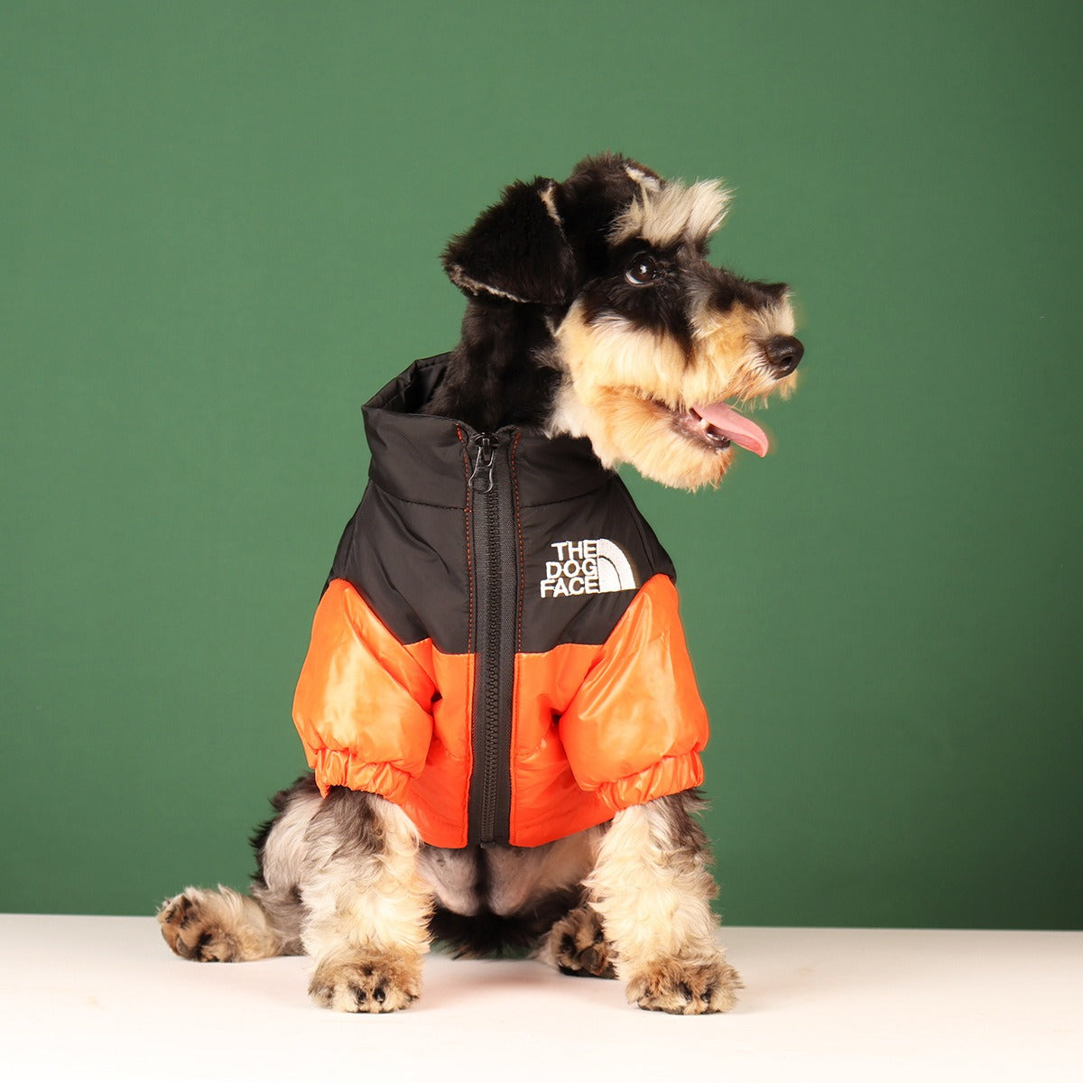 Small Dog Puffer Coat | Warm Stylish Winter Walks