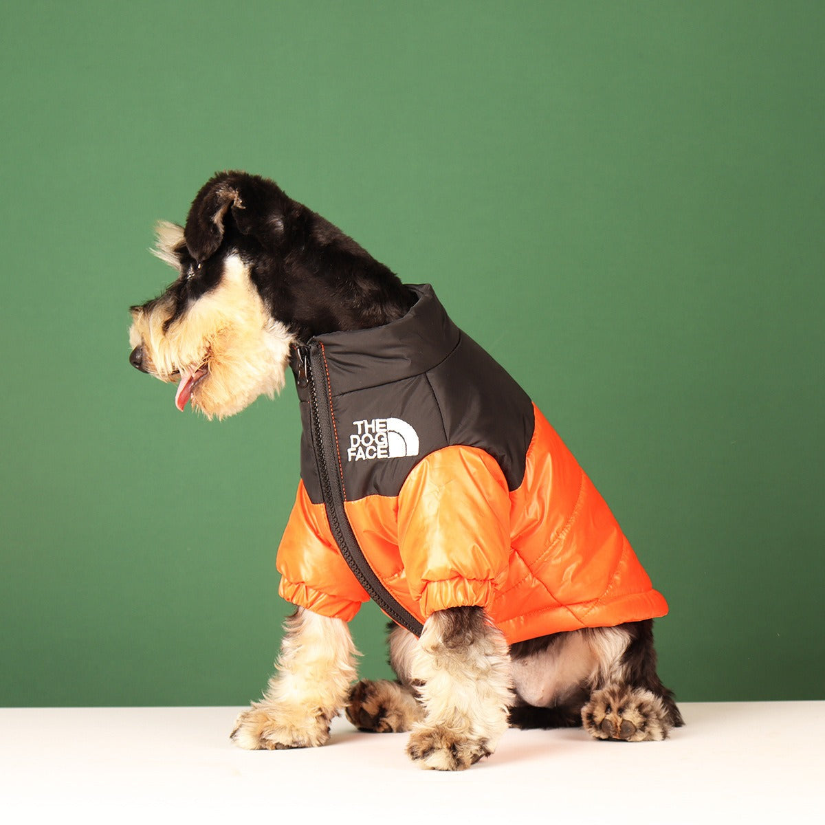 Small Dog Puffer Coat | Warm Stylish Winter Walks