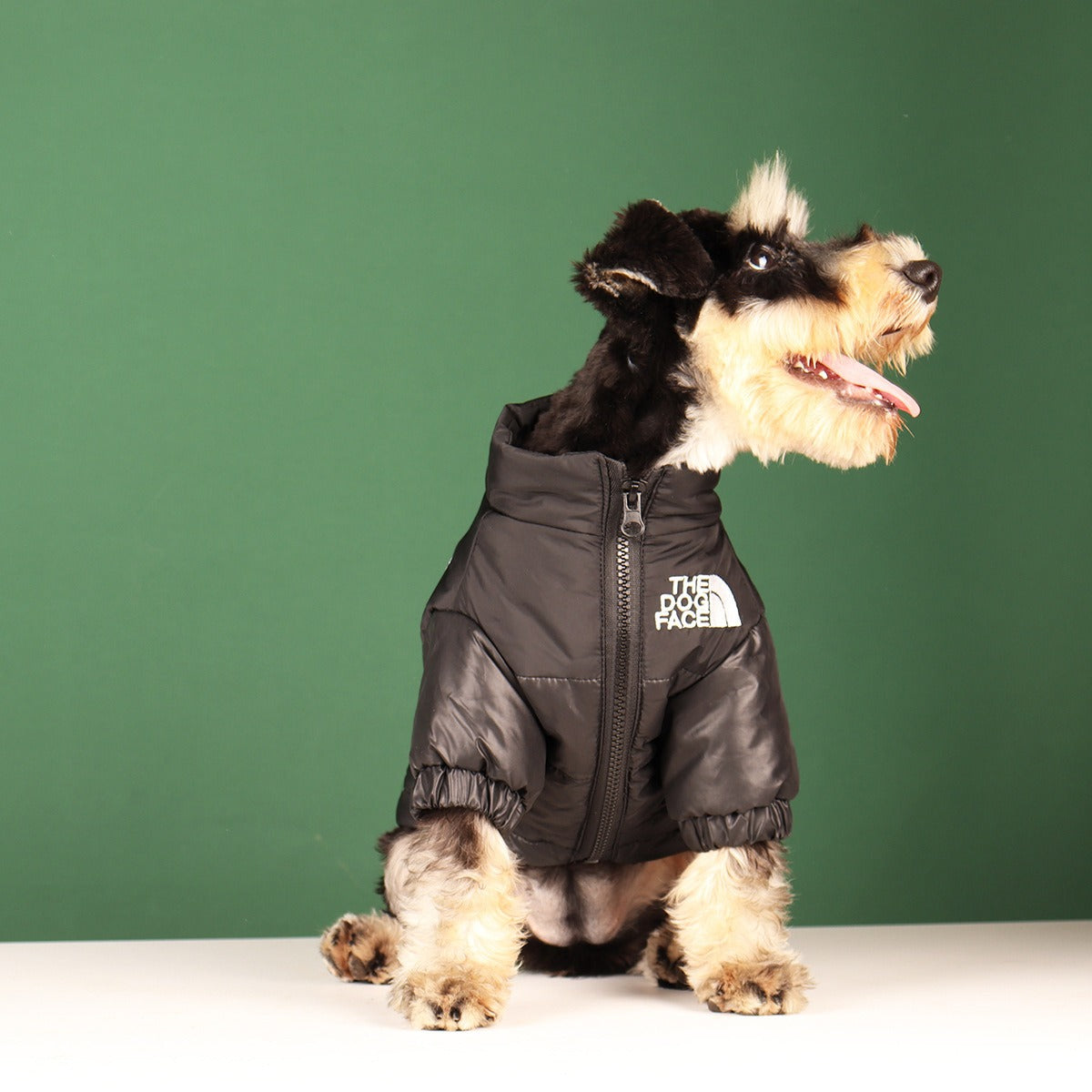 Small Dog Puffer Coat | Warm Stylish Winter Walks