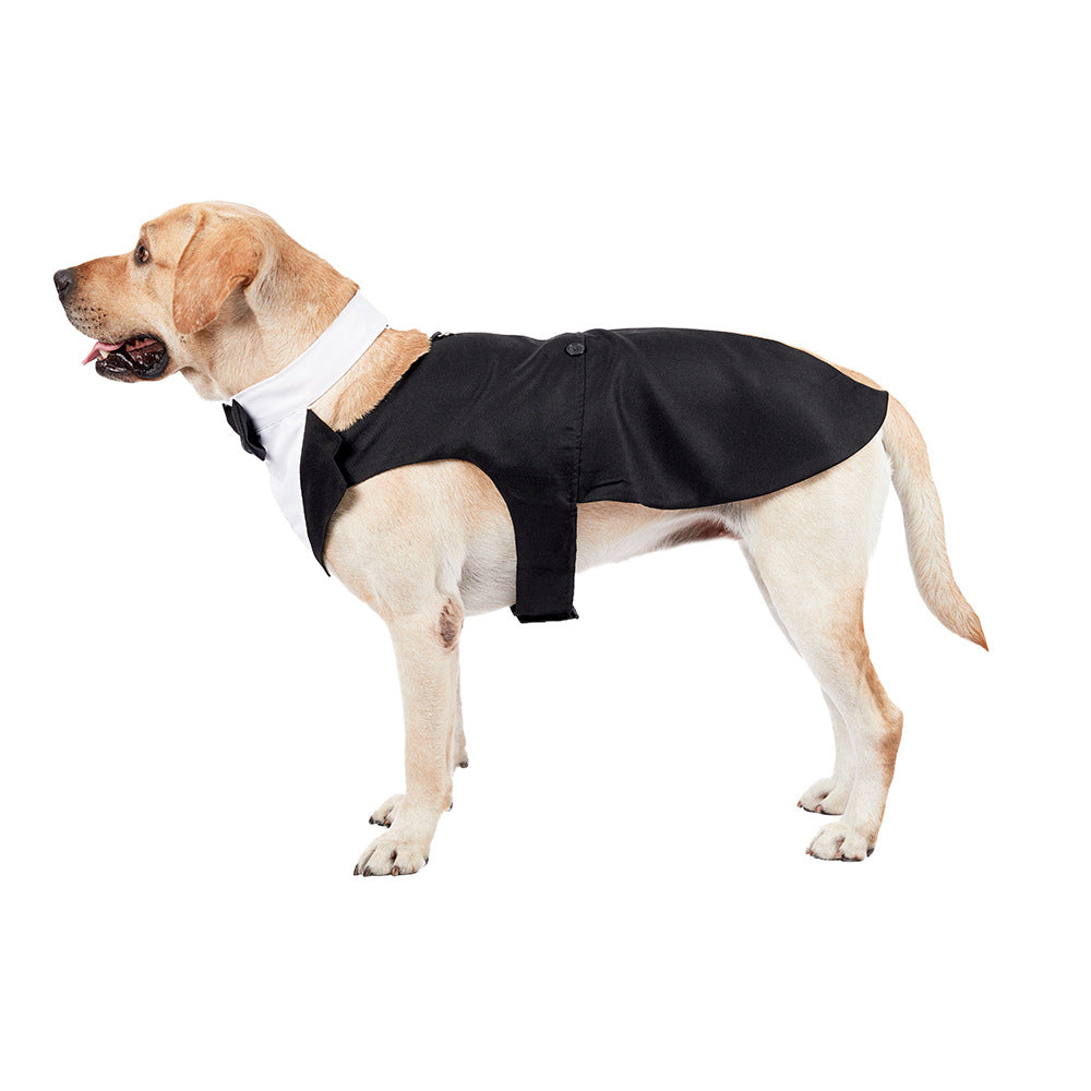 Dog Tuxedo Outfit — Polished Wedding-Ready Style
