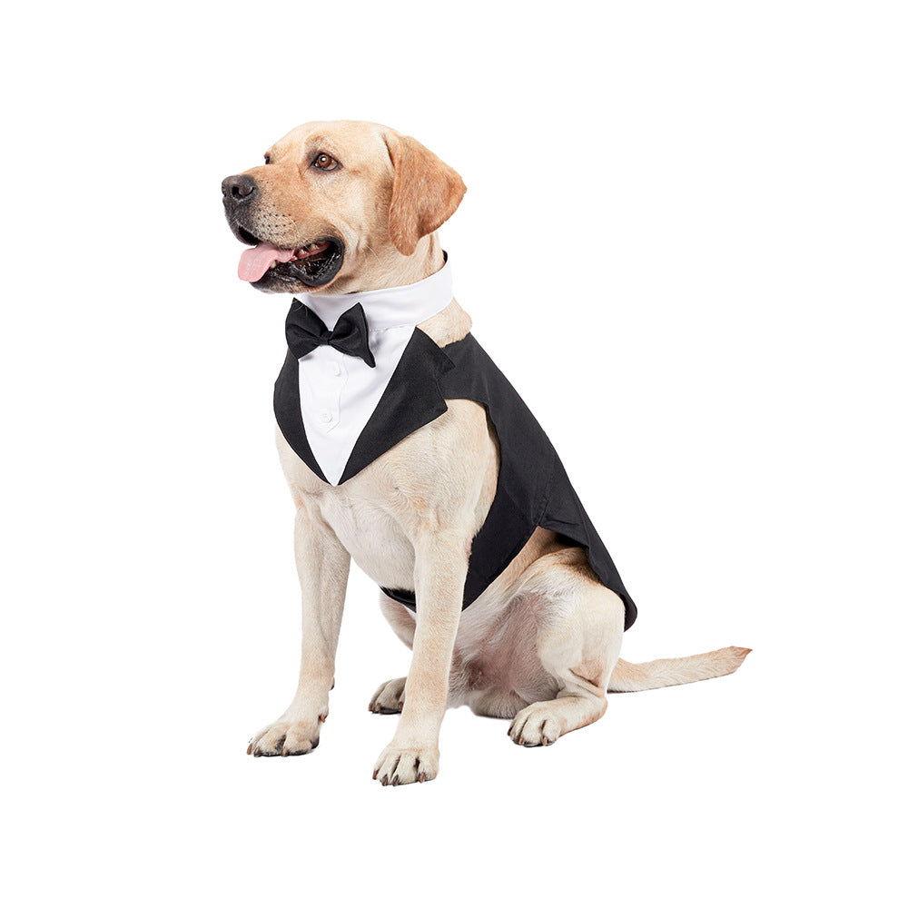 Dog Tuxedo Outfit — Polished Wedding-Ready Style