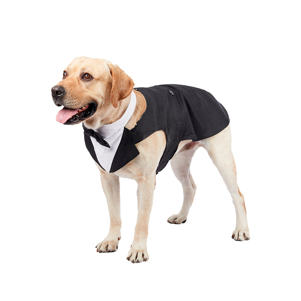 Dog Tuxedo Outfit — Polished Wedding-Ready Style