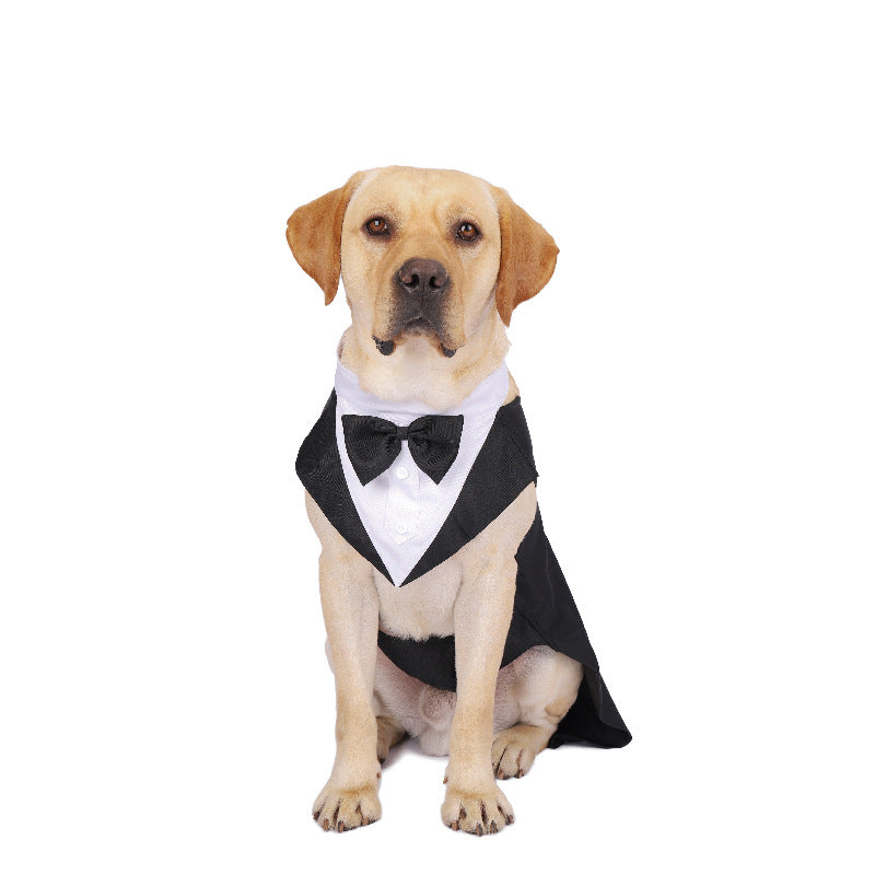 Dog Tuxedo Outfit — Polished Wedding-Ready Style