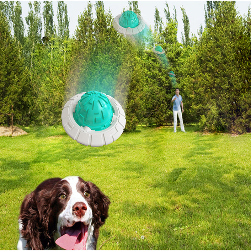 Interactive Dog Toy for Fetch, Chewing & Dental Play