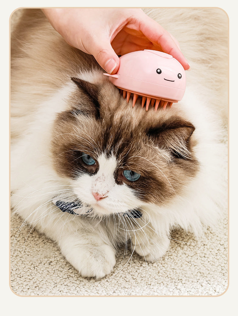 Rechargeable Spray Pet Brush for Easy Cat Grooming
