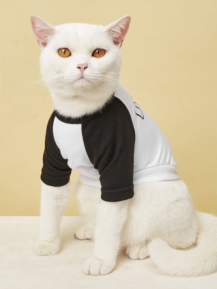 Cat T-Shirt | Lightweight Color-Block Summer Apparel