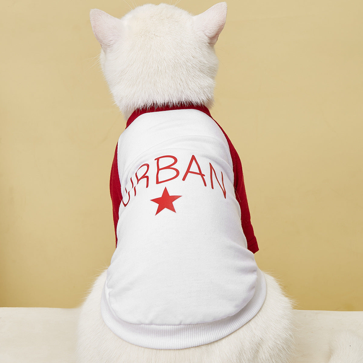 Cat T-Shirt | Lightweight Color-Block Summer Apparel