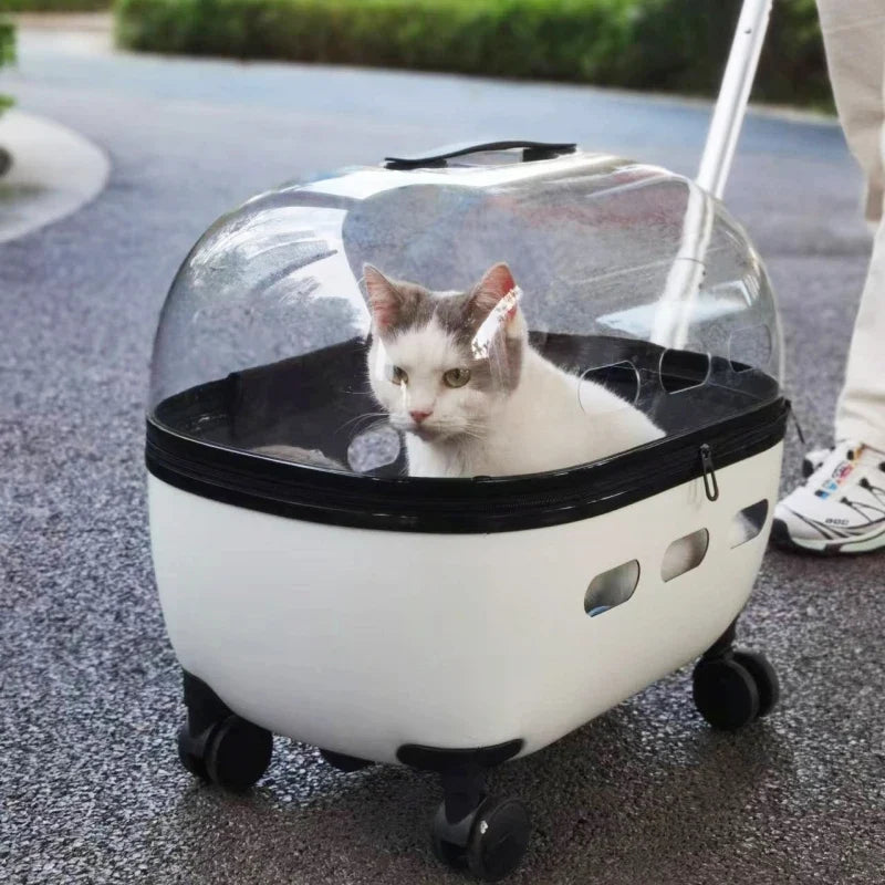 Transparent Pet Travel Carrier Stroller for Calm Outings