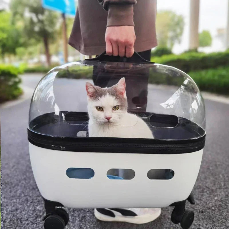 Transparent Pet Travel Carrier Stroller for Calm Outings