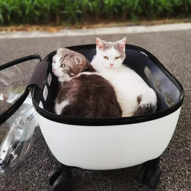 Transparent Pet Travel Carrier Stroller for Calm Outings