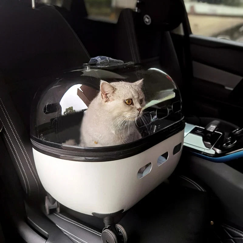 Transparent Pet Travel Carrier Stroller for Calm Outings