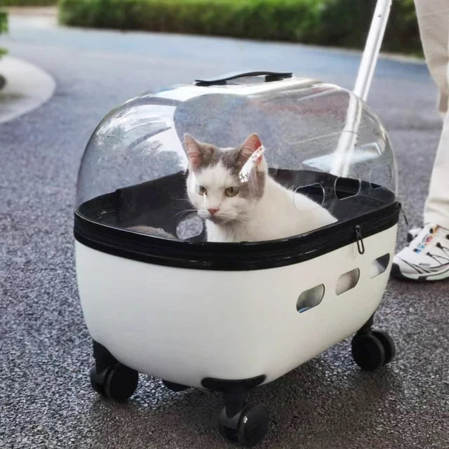Transparent Pet Travel Carrier Stroller for Calm Outings