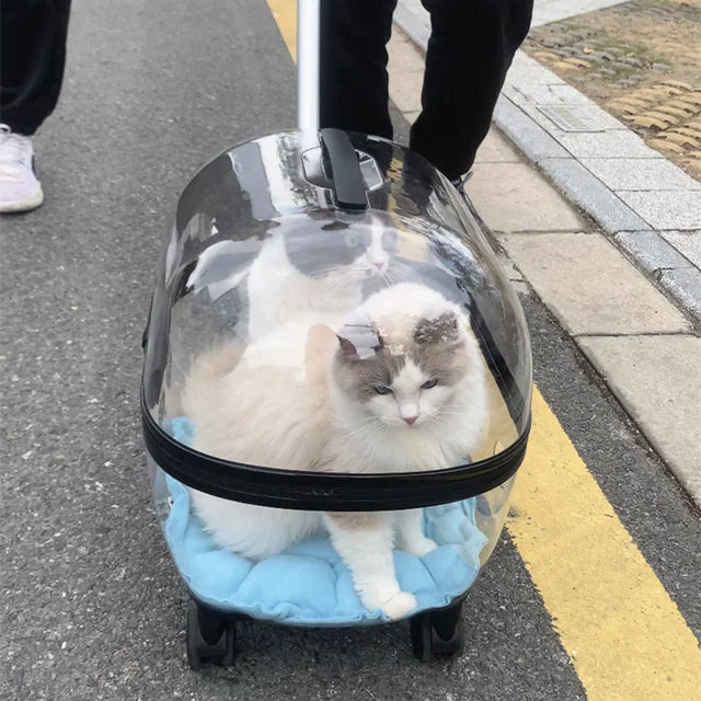 Transparent Pet Travel Carrier Stroller for Calm Outings