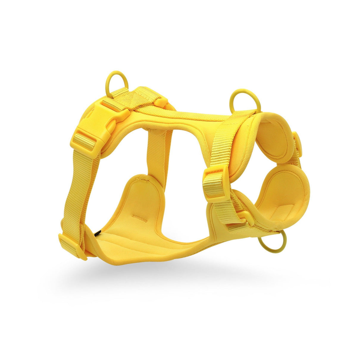Waterproof Dog Harness Leash Set for Small Dogs, 3-Piece
